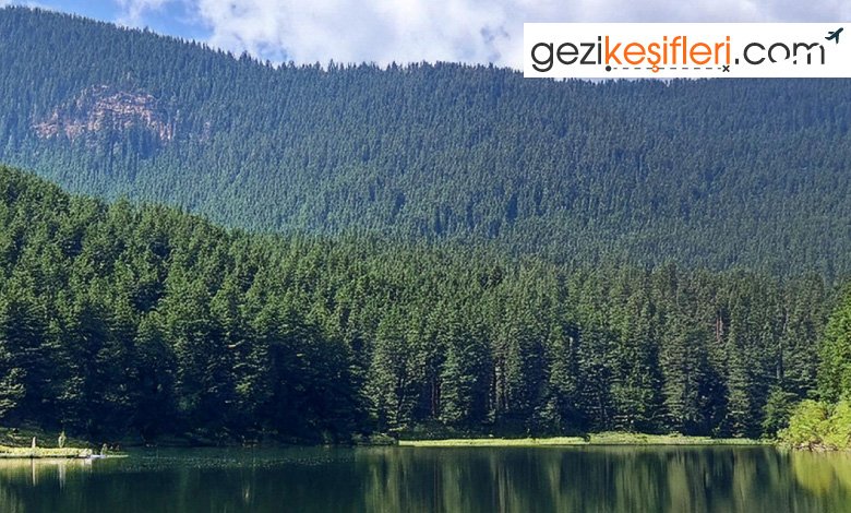 Bolu'da Gezilecek Yerler: Doğa ve Tarihle İç İçe Bir Kaçamak