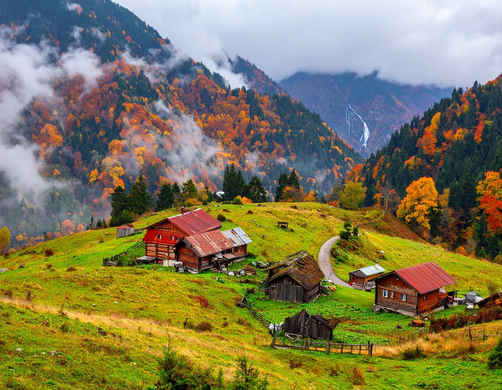 Ayder Yaylası, Rize – Yaylaların Popüler Kapısı