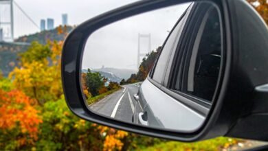 İstanbul'a Yakın Günübirlik Rotalar (Doğa, Köy ve Sahil)