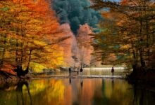 Kasım Ayı Gezilecek Yerler: Türkiye’de Sonbahar Huzuru