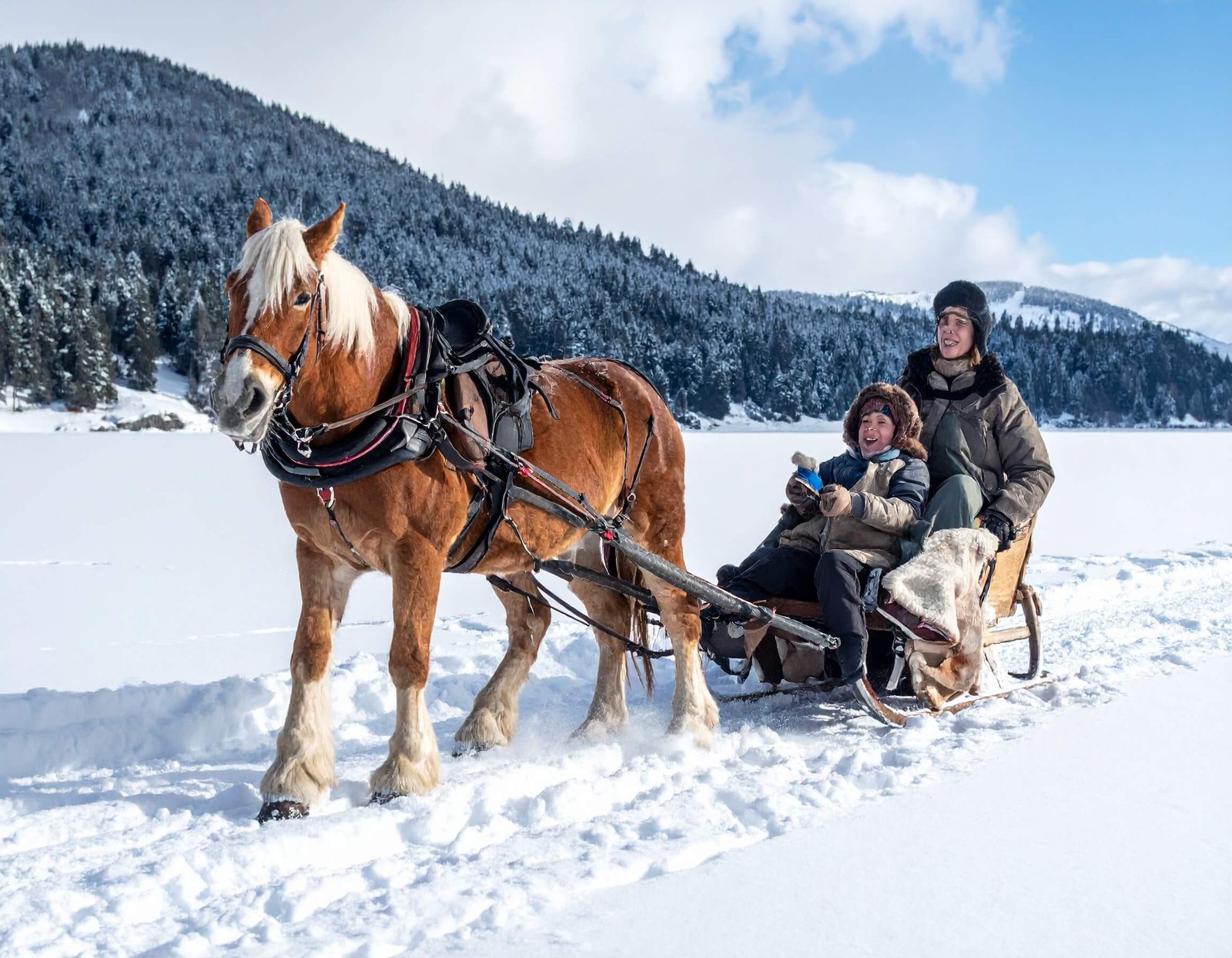 Abant Gölü Kar Manzaraları 2025: Beyazın ve Huzurun Büyüsü
